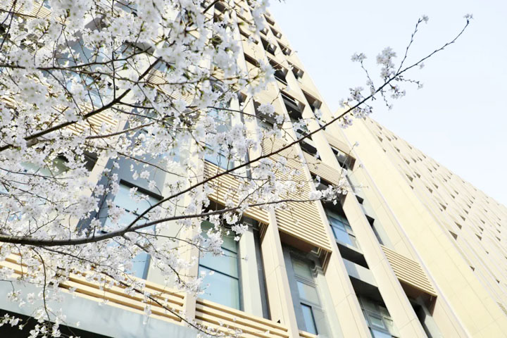 立信2+2国际本科