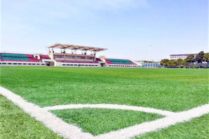 立信SQA国际本科