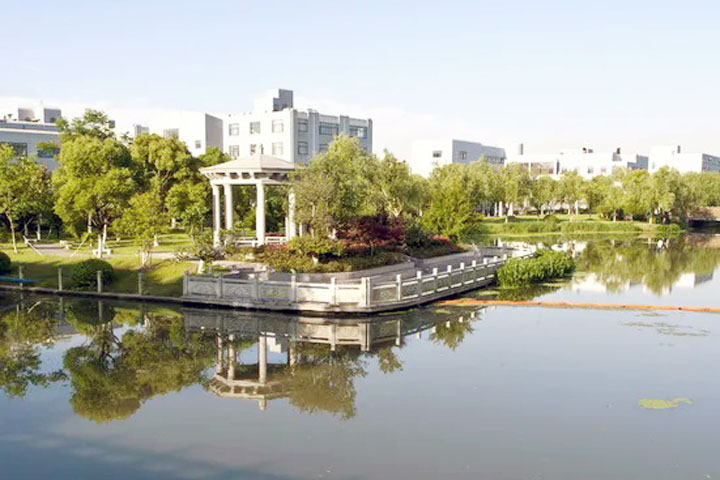 立信SQA国际本科